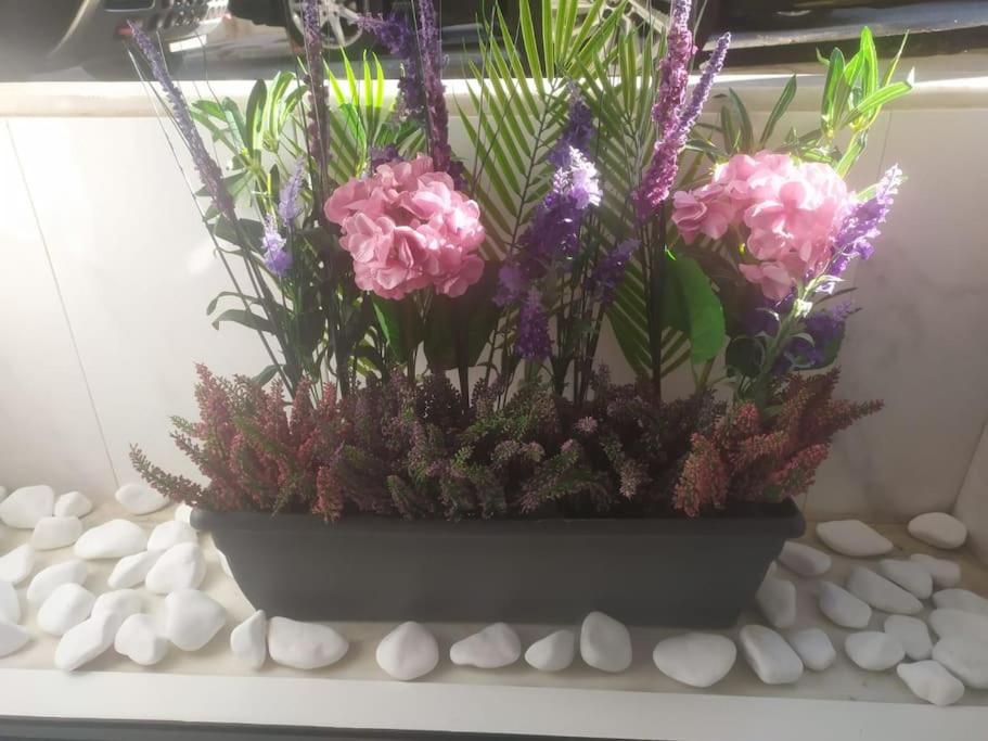 אתונה Studio Apartment With All Amenities In Kolonaki מראה חיצוני תמונה